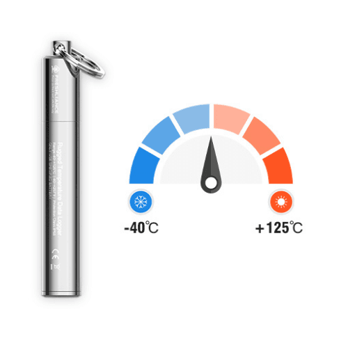 Stainless Steel Temperature Probe